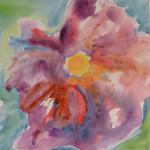 Pink Flower Study
11/02/15 New York, NY
watercolor
posted 11:50pm 11/09/15
